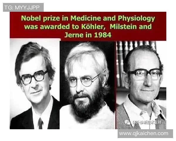 拉波尔特的崛起与影响力探讨：从历史到现代的全景分析